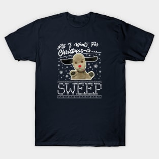 Sooty Christmas All I Want For Christmas Is Sweep T-Shirt